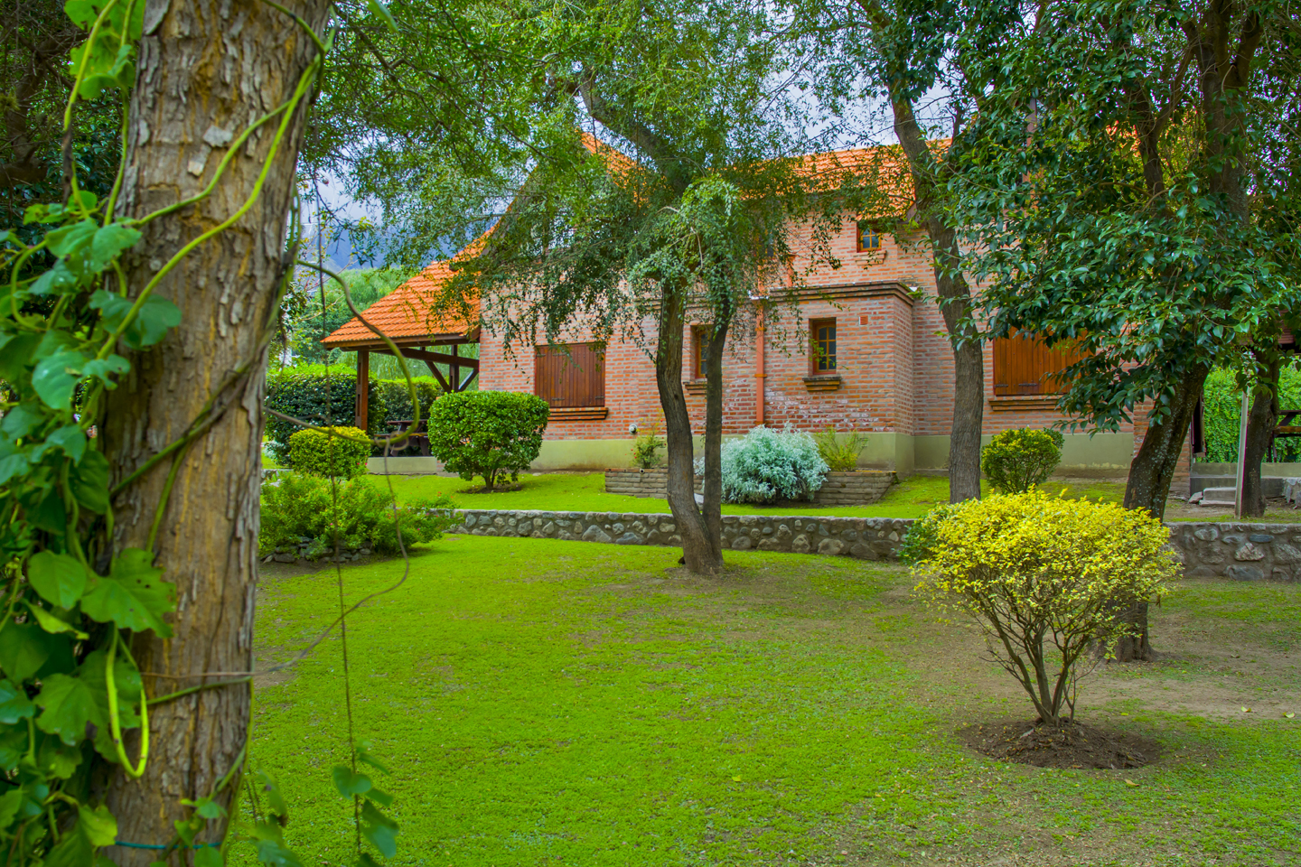 Parque
